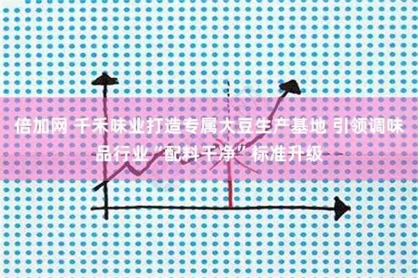 倍加网 千禾味业打造专属大豆生产基地 引领调味品行业“配料干净”标准升级