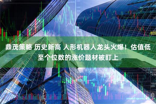 鼎茂策略 历史新高 人形机器人龙头火爆！估值低至个位数的涨价题材被盯上