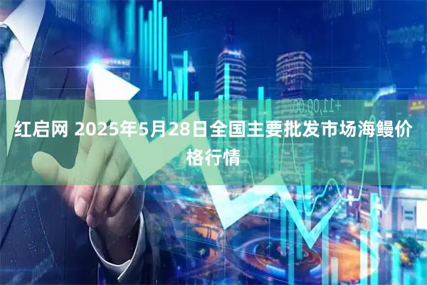 红启网 2025年5月28日全国主要批发市场海鳗价格行情