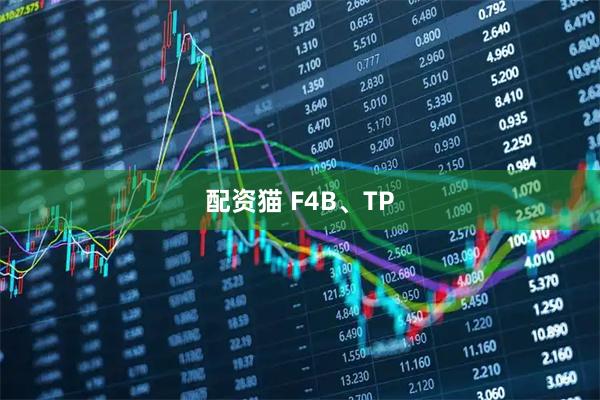配资猫 F4B、TP