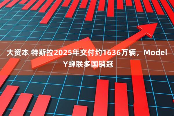 大资本 特斯拉2025年交付约1636万辆，Model Y蝉联多国销冠