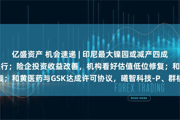 亿盛资产 机会速递 | 印尼最大镍园或减产四成，铝库存去化支撑价格上行；险企投资收益改善，机构看好估值低位修复；和黄医药与GSK达成许可协议，曦智科技-P、群核科技有望本月入通